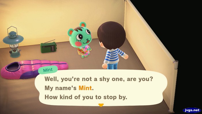 Mint, at the campsite: Well, you're not a shy one, are you? My name's Mint. How kind of you to stop by.