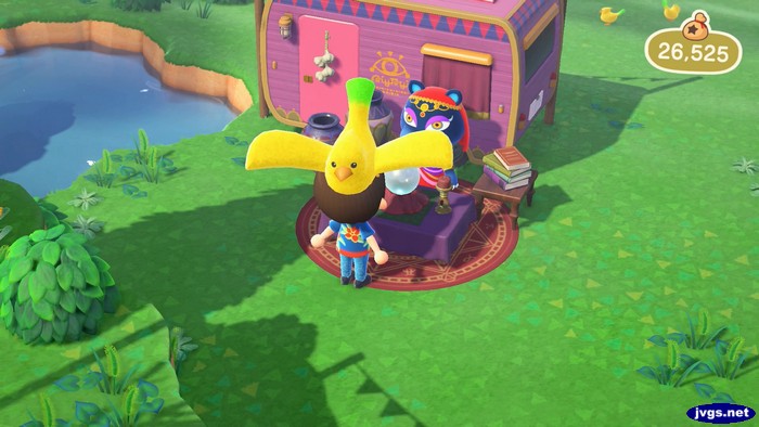 It appears that a very large bird is resting on my head as I speak with Katrina.