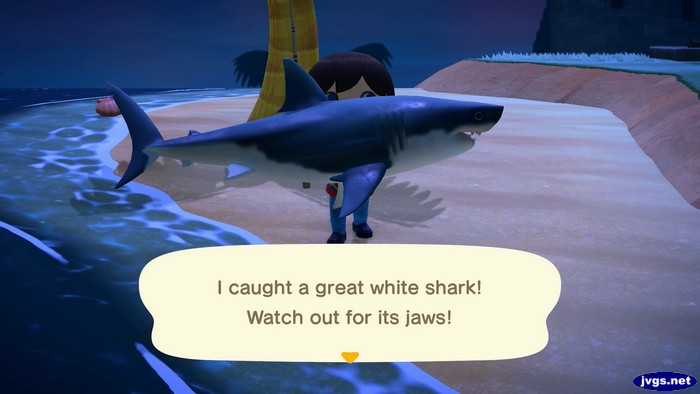 I caught a great white shark! Watch out for its jaws!