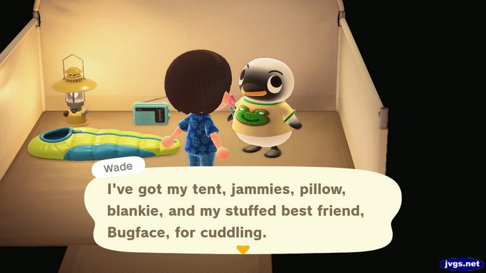 Wade, at the campsite: I've got my tent, jammies, pillow, blankie, and my stuffed best friend, Bugface, for cuddling.