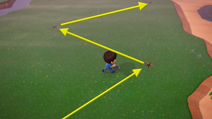 A zigzag pattern led me from the glowing spot to three of the day's fossils!