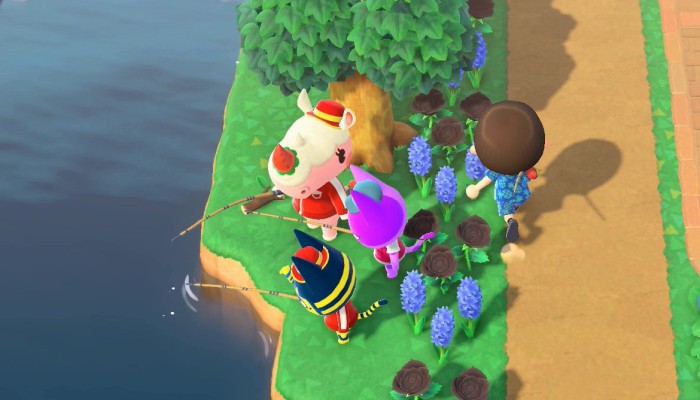 Merengue, Bob, and Ankha fishing together during the tournament.