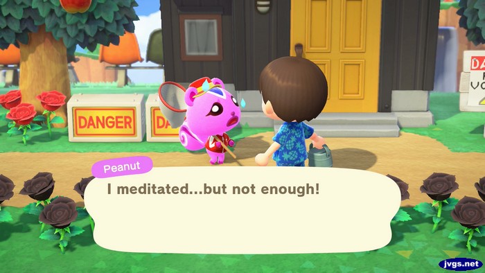 Peanut: I meditated...but not enough!