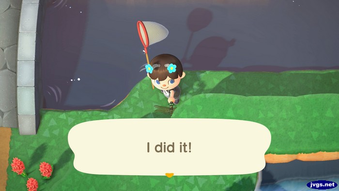 Me, after catching my third banded dragonfly of the day: I did it!