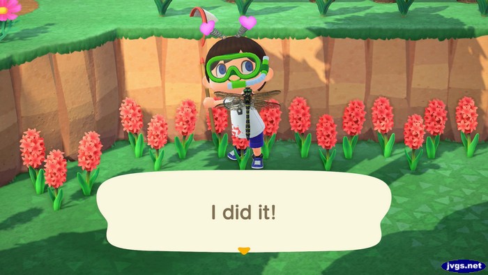 Jeff after catching a banded dragonfly: I did it!