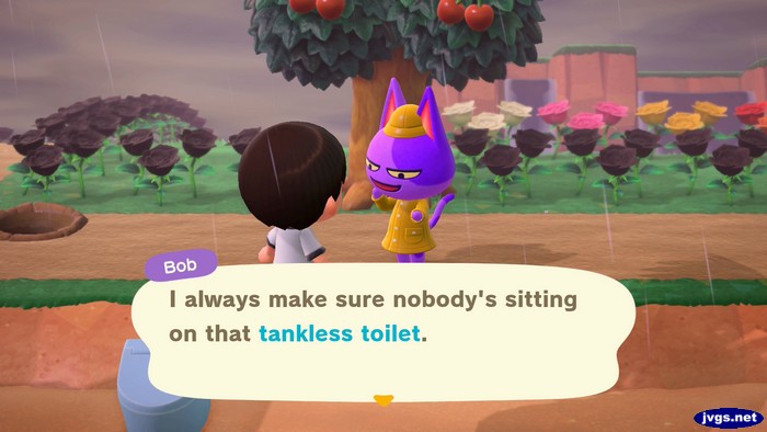 Bob: I always make sure nobody's sitting on that tankless toilet.