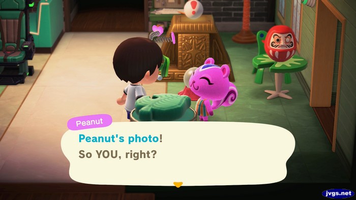 Peanut: Peanut's photo! So YOU, right?