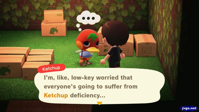 Ketchup: I'm, like, low-key worried that everyone's going to suffer from Ketchup deficiency...
