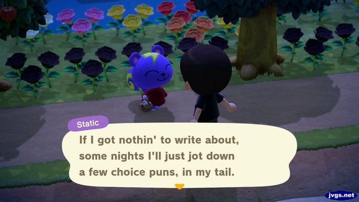 Static: If I got nothin' to write about, some nights I'll just jot down a few choice puns, in my tail.