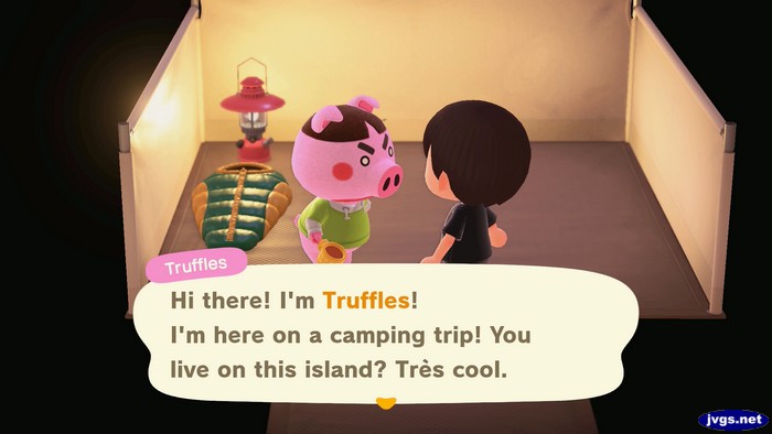 Truffles, at the campsite: Hi there! I'm Truffles! I'm here on a camping trip! You live on this island? Tres cool.