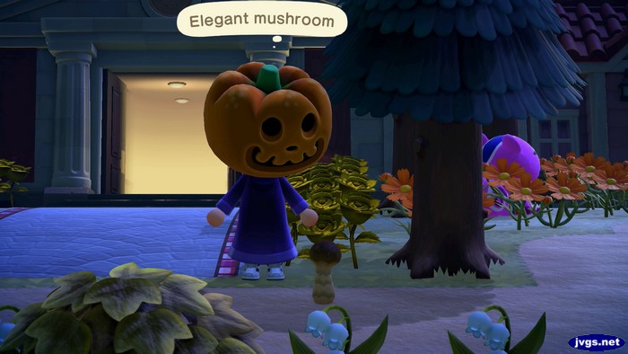Jeff, dressed as Jack, admires an elegant mushroom.