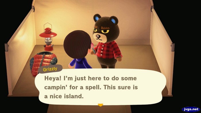 Grizzly: Heya! I'm just here to do some campin' for a spell. This sure is a nice island.