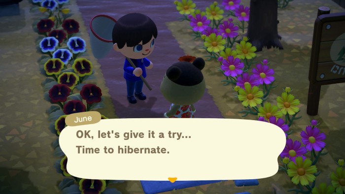 June: OK, let's give it a try... Time to hibernate.