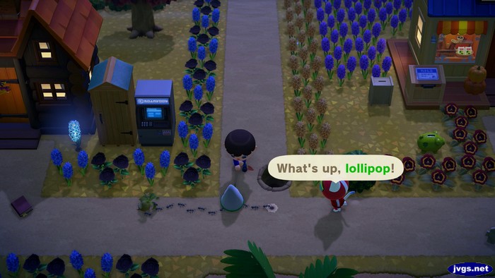 Kid Cat calls out to me as I catch an ant.