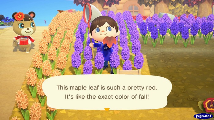 This maple leaf is such a pretty red. It's like the exact color of fall!