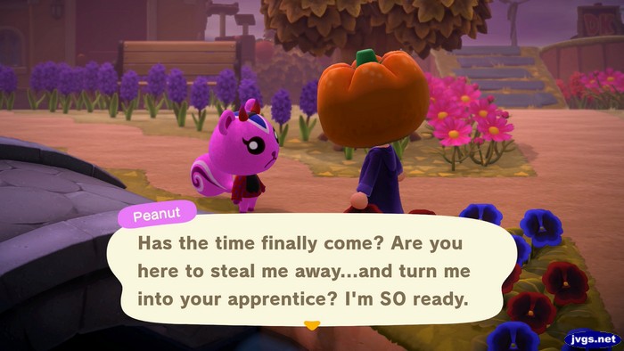 Peanut: Has the time finally come? Are you here to steal me away...and turn me into your apprentice? I'm SO ready.