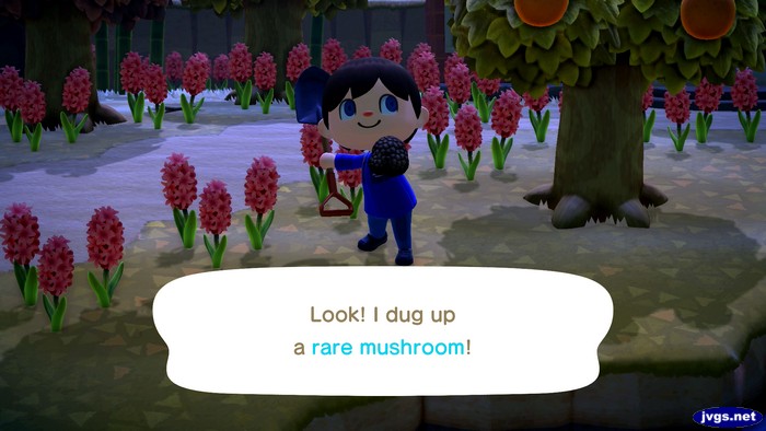 Look! I dug up a rare mushroom!