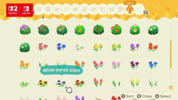 Flowers and bushes in storage.