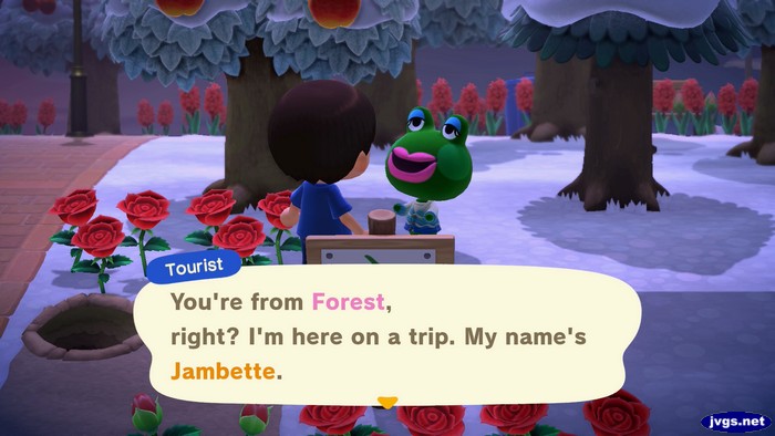 Tourist: You're from Forest, right? I'm here on a trip. My name's Jambette.