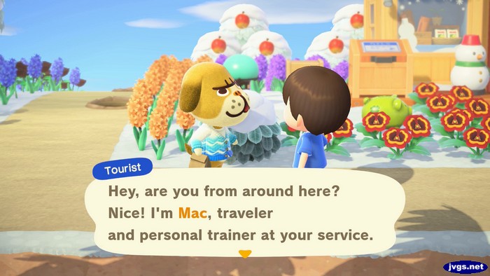 Tourist: Hey, are you from around here? Nice! I'm Mac, traveler and personal trainer at your service.