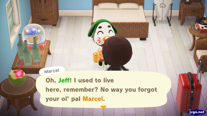 Marcel, at the hotel: Oh, Jeff! I used to live here, remember? No way you forgot your ol' pal Marcel.