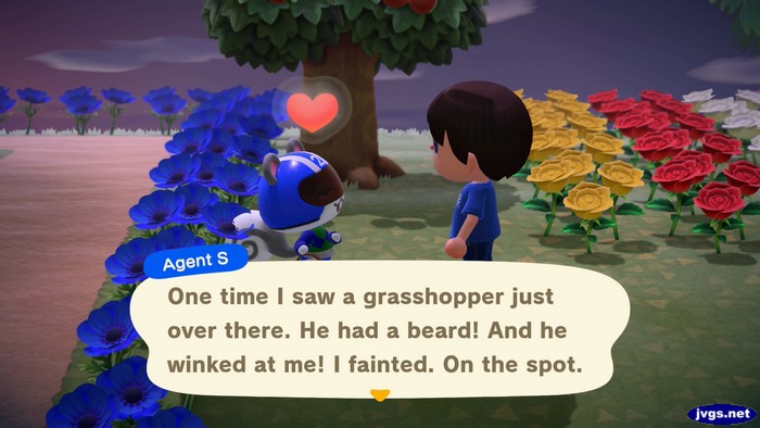 Agent S: One time I saw a grasshopper just over there. He had a beard! And he winked at me! I fainted. On the spot.