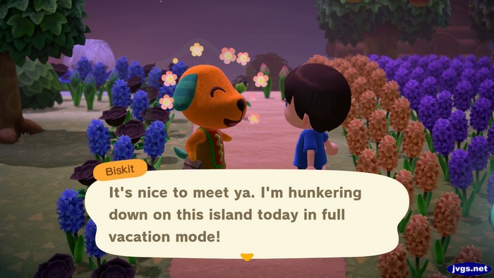 Biskit: It's nice to meet ya. I'm hunkering down on this island in full vacation mode!