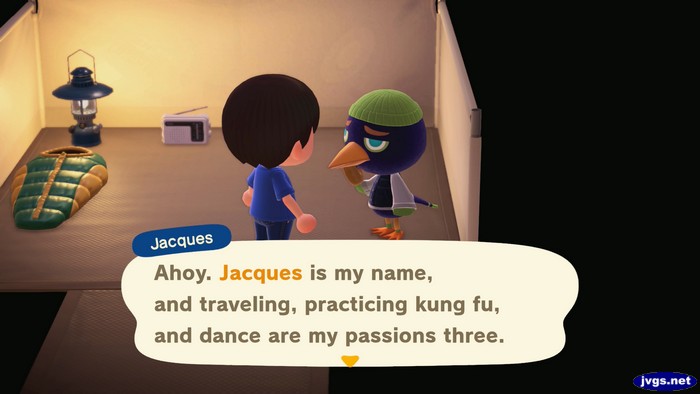 Jacques: Ahoy. Jacques is my name, and traveling, practicing kung fu, and dance are my passions three.