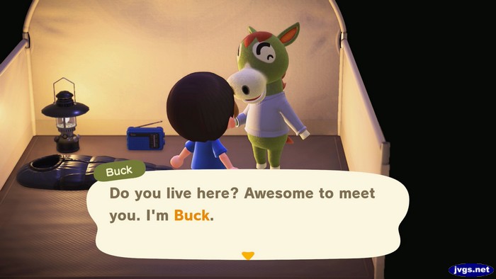 Buck, at the campsite: Do you live here? Awesome to meet you. I'm Buck.