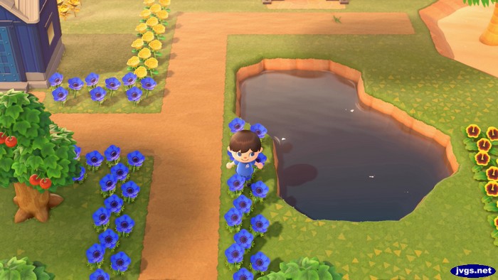 My new eastern pond in Forest.