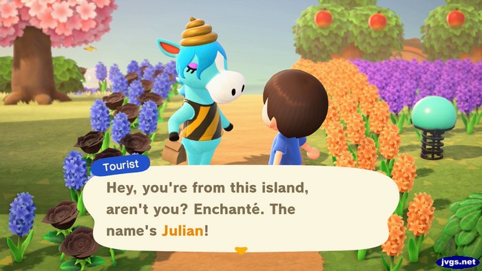 Tourist: Hey, you're from this island, aren't you? Enchante. The name's Julian!