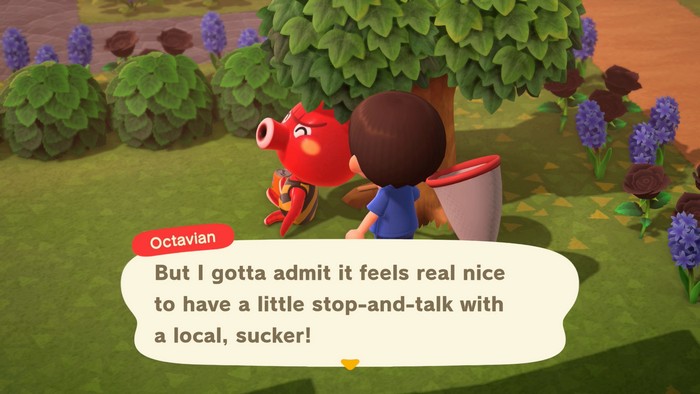 Octavian: But I gotta admit it feels real nice to have a little stop-and-talk with a local, sucker!