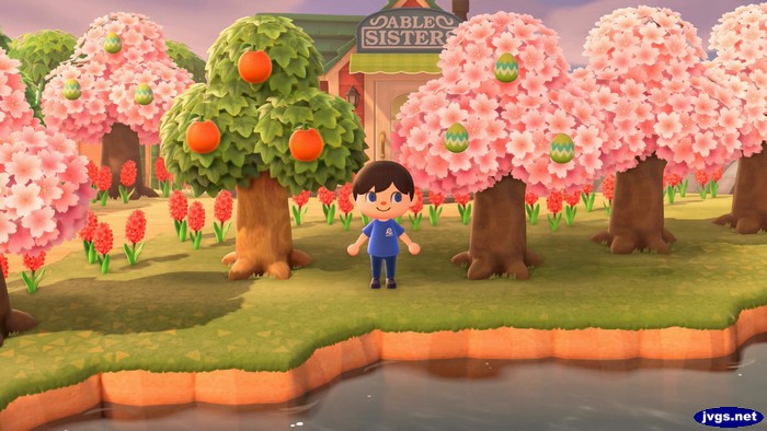 Several pink trees surround Able Sisters in Forest.