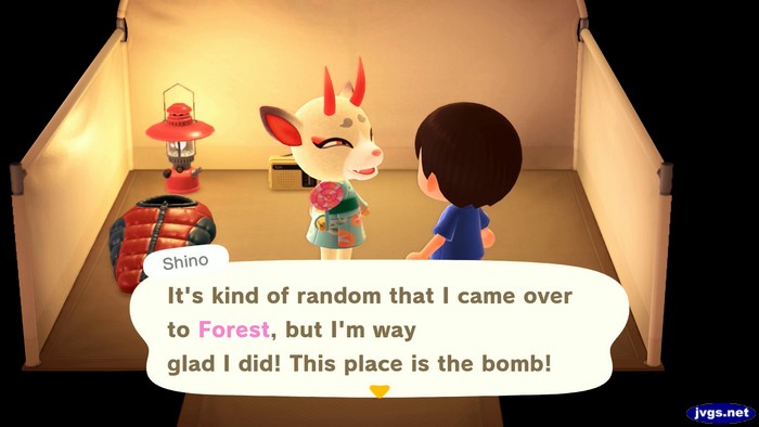 Shino: It's kind of random that I came over to Forest, but I'm way glad I did! This place is the bomb!