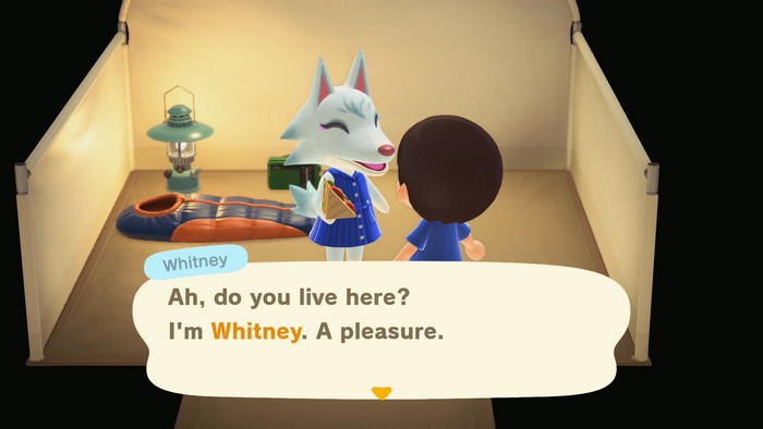 Whitney, at the campsite: Ah, do you live here? I'm Whitney. A pleasure.