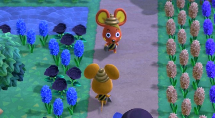 Two orange mice tourists in Forest.