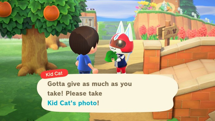 Kid Cat: Gotta give as much as you take! Please take Kid Cat's photo!