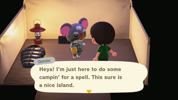 Gonzo, at the campsite: Heya! I'm just here to do some campin' for a spell. This sure is a nice island.