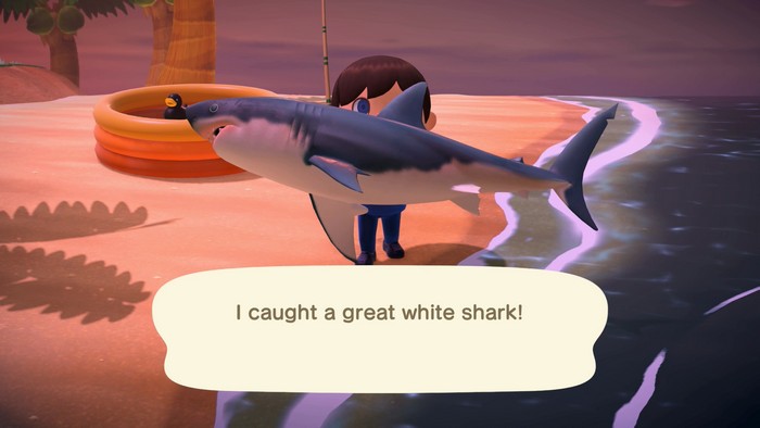 I caught a great white shark!