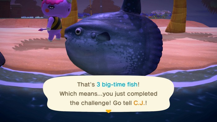 Me, holding an ocean sunfish: That's 3 big-time fish! Which means...you just completed the challenge! Go tell C.J.!