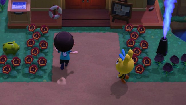 Gaston walking around outside just before I enter Nook's Cranny.