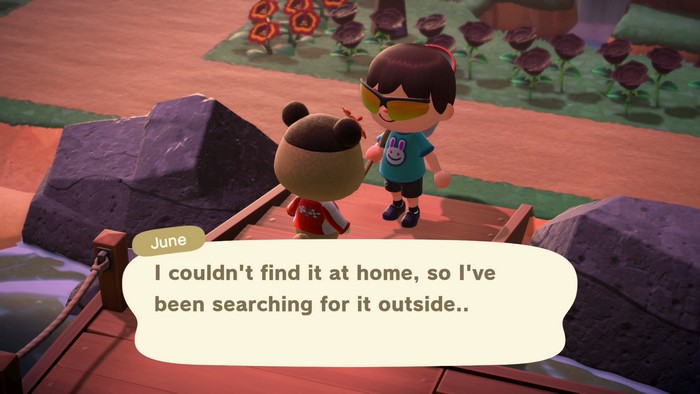June: I couldn't find it at home, so I've been searching for it outside..
