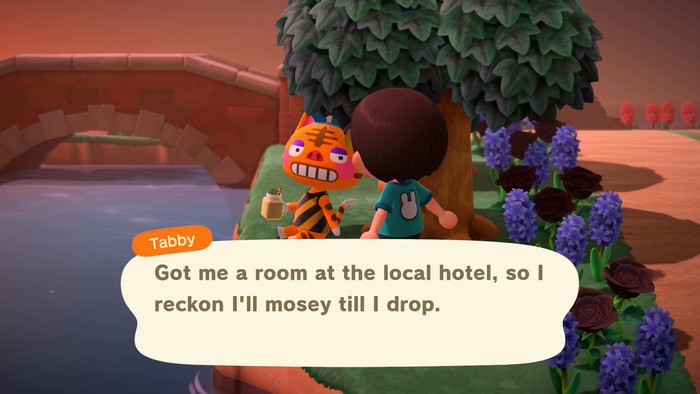 Tabby: Got me a room at the local hotel, so I reckon I'll mosey till I drop.