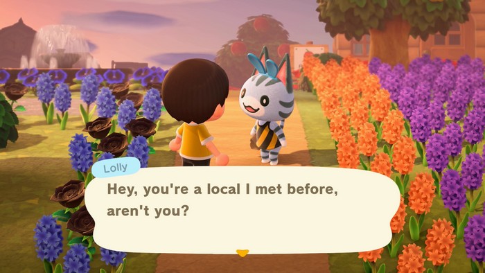 Lolly: Hey, you're a local I met before, aren't you?
