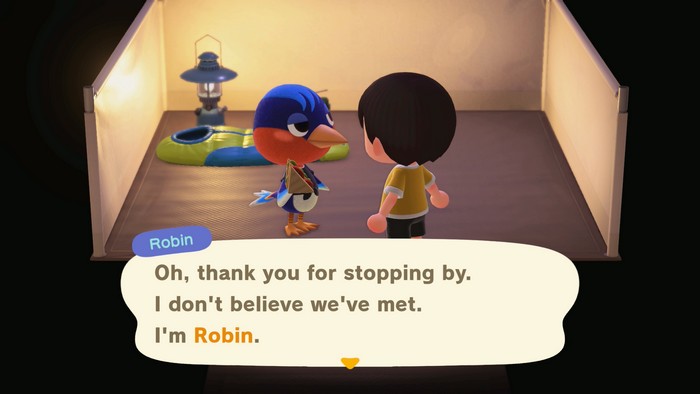 Robin, at the campsite: Oh, thank you for stopping by. I don't believe we've met. I'm Robin.