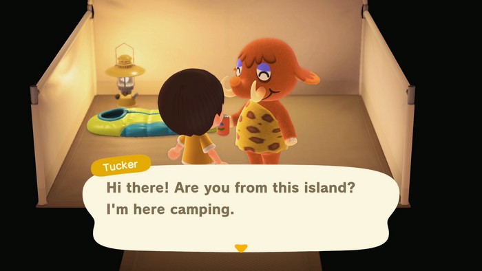 Tucker, at the campsite: Hi there! Are you from this island? I'm here camping.