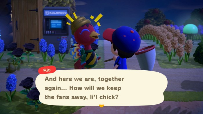 Rio: And here we are, together again... How will we keep the fans away, li'l chick?