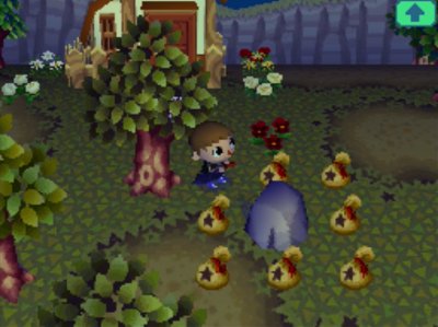 Seven bags of money from the daily money rock.