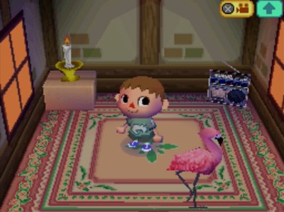 My house in Animal Crossing: Wild World.