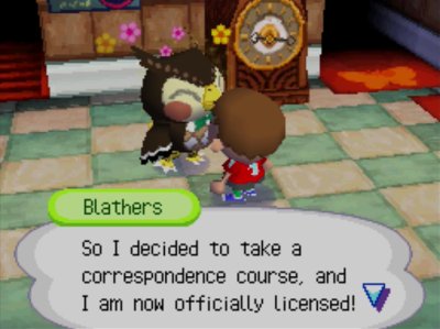 Blathers: So I decided to take a correspondence course, and I am now officially licensed!
